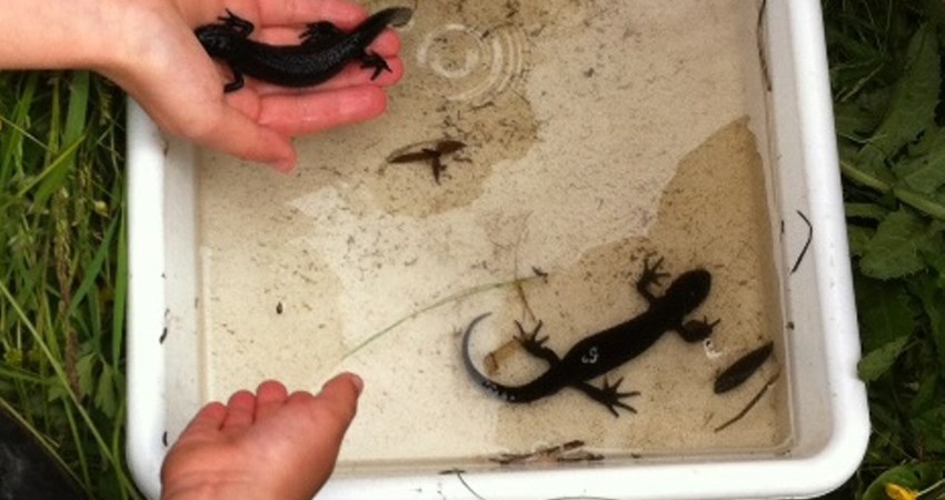 foto 1 (2) forside.jpg